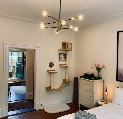 Pet-Friendly Space, King bed, Office