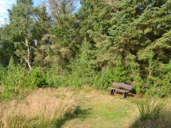 Overnatningsstedets område