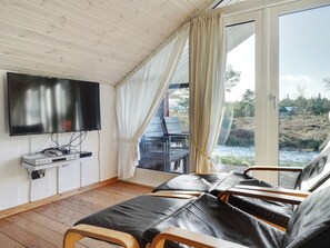 Tv, pejs, dvd-afspiller