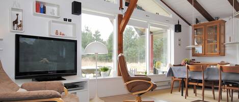 TV, fireplace, DVD player