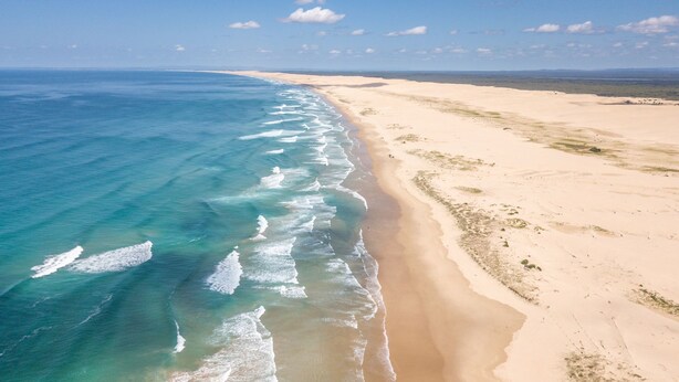An aerial view of a beach with clear blue waters and a sandy shore. - The Pacific Pearl,16 Pacific Avenue, Anna Bay - pet friendly, air con (Anna Bay)