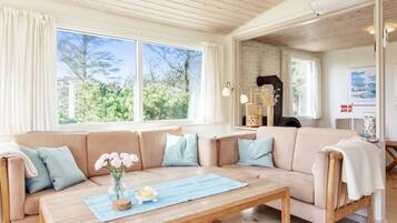 Télévision, cheminée, lecteur de DVD