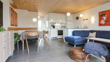 电视、DVD 播放器