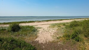 Una playa arenosa con un camino despejado que lleva al agua, rodeada de vegetación.