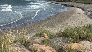 Una playa con olas, piedras y hierba.