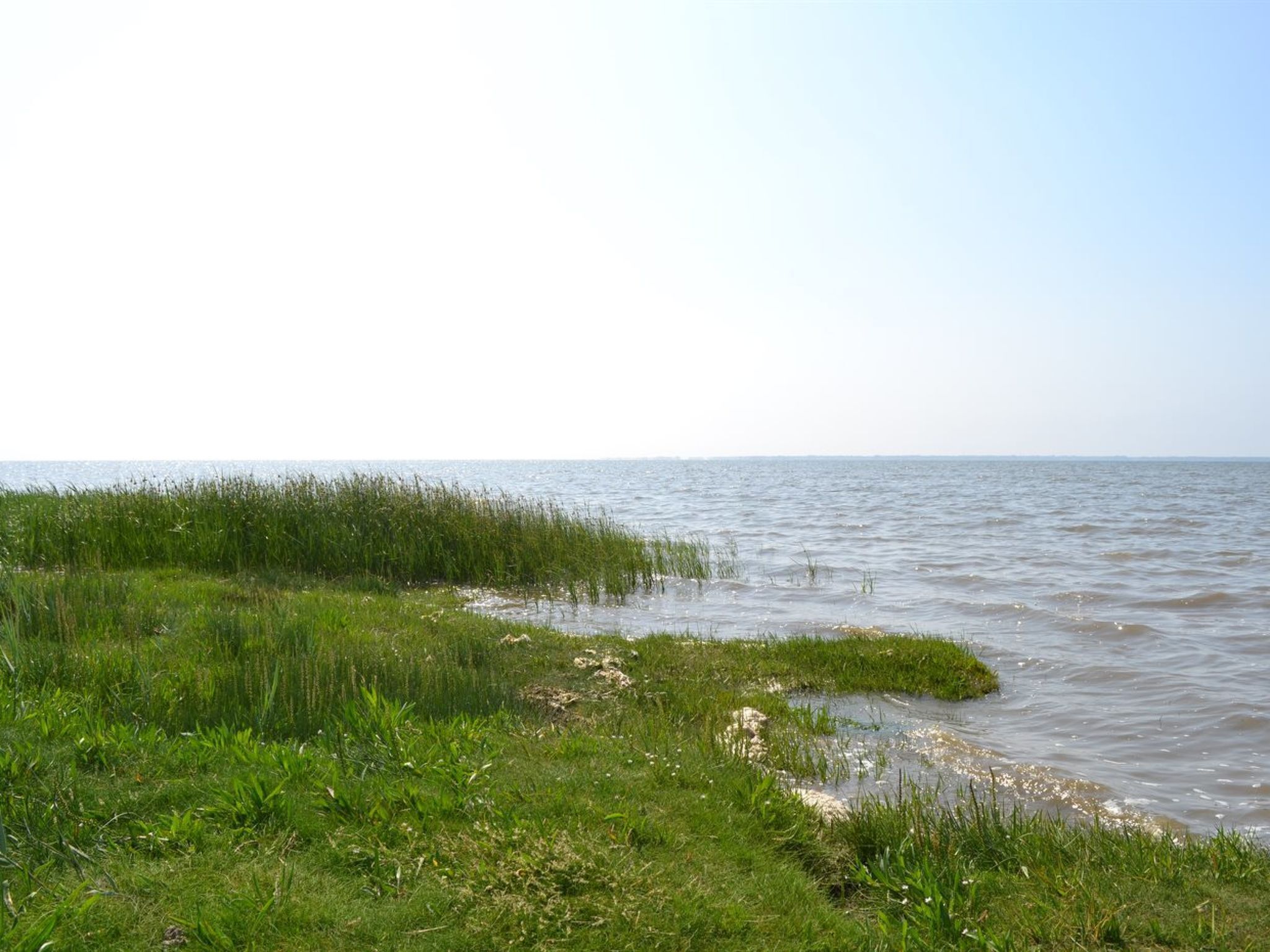 A natural landscape with a body of water, grassy areas, and a clear sky.