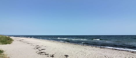 海滩