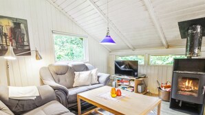 TV, peis og DVD-spiller