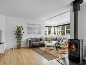 Televisión y chimenea 