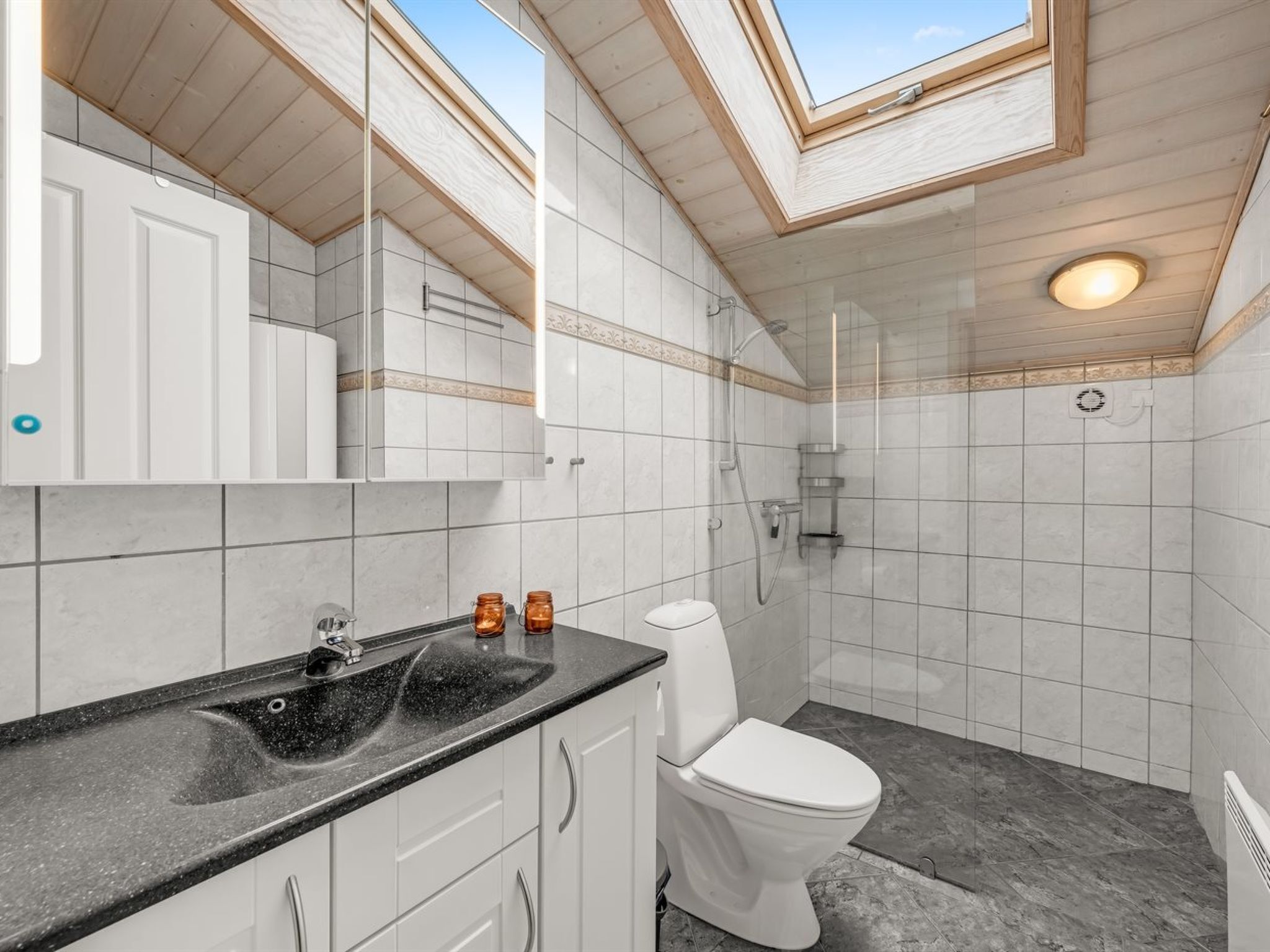 Une salle de bain moderne dotée d’une lucarne, d’une douche et de toilettes.