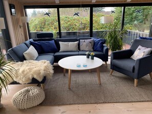 Fernseher, Kamin, DVD-Player