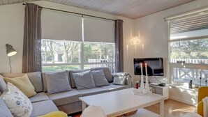 TV, fireplace, DVD player