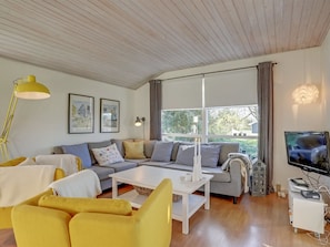 TV, fireplace, DVD player