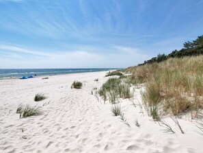 Ein sandiger Strand mit Dünen und vereinzelter Vegetation.