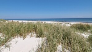 A beach with sand dunes and a clear blue sky. - "Eliz" - 800m from the sea by Interhome (Nexø)