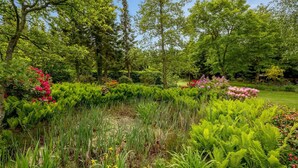 A lush garden with various plants and trees. - "Tatiane" - 10km from the sea by Interhome (Bækmarksbro)