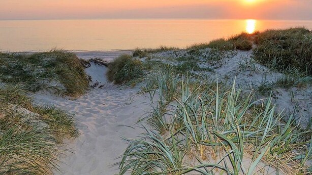 A coastal path with dunes and vegetation leading to the sea during sunset. - "Martinus" - 5.5km from the sea by Interhome (Tim)