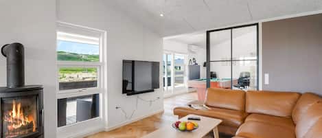 TV, fireplace, DVD player