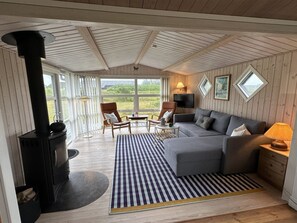TV, fireplace, DVD player