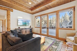 TV, fireplace, books