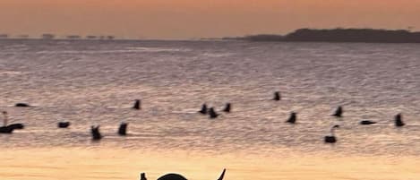 海滩