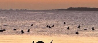 Picturesque Lakeside Getaway: Views, Beach, Park