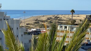 Une vue sur la côte, avec des bâtiments, une plage et des palmiers.