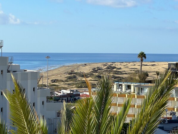 Une vue sur la côte, avec des bâtiments, une plage et des palmiers.