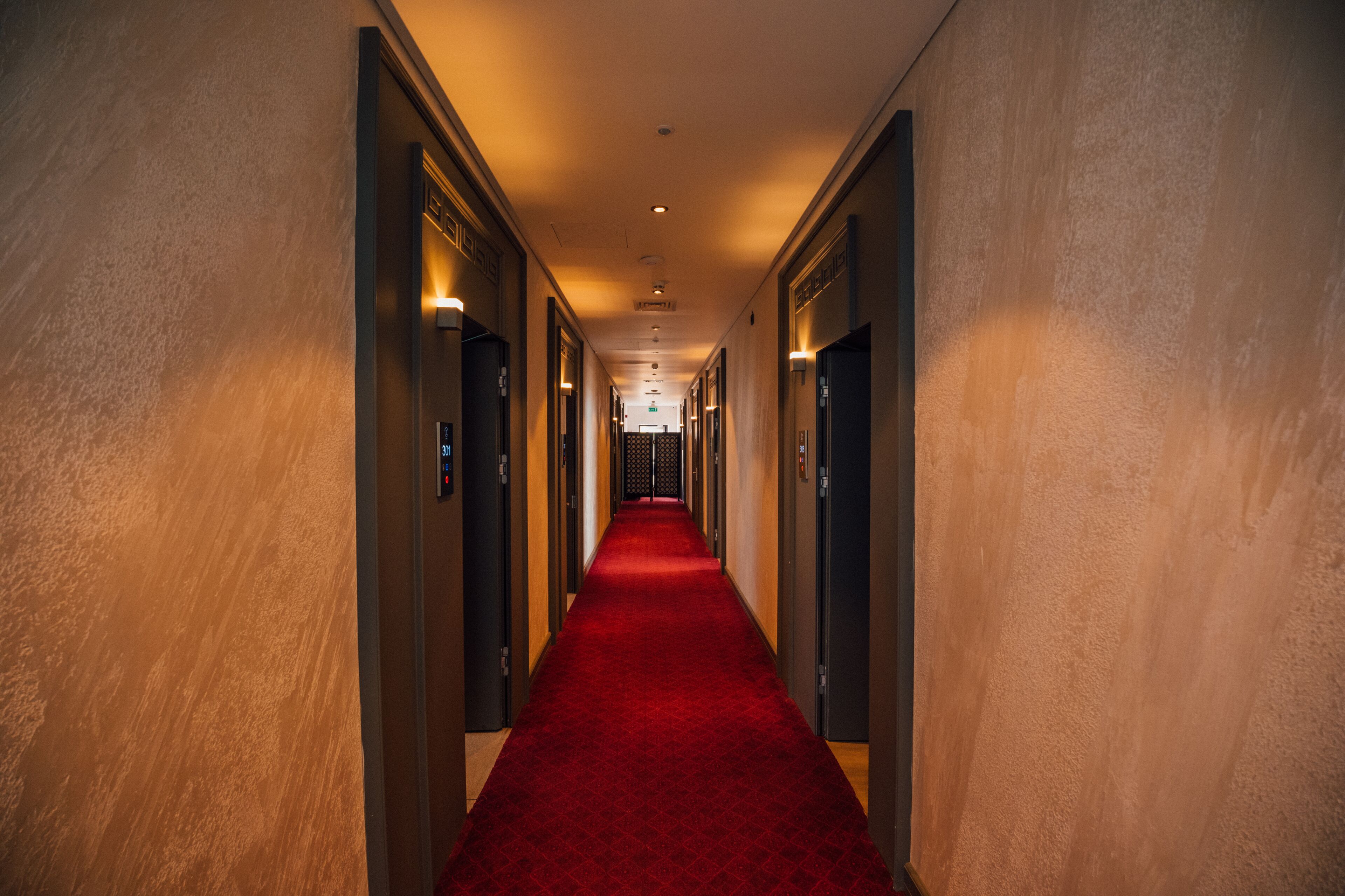 A long hallway with a red carpet, flanked by doors on both sides, leading to a darkened area at the end.