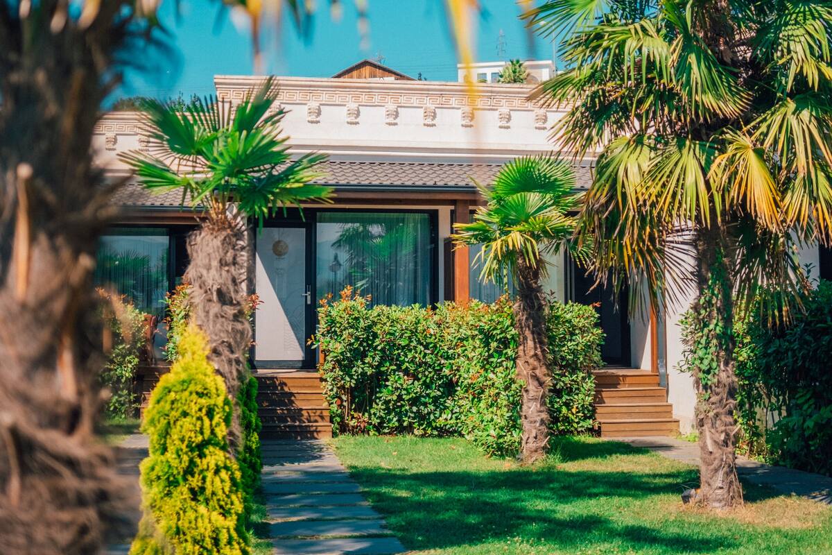 A modern house with a stone pathway leading to the entrance, surrounded by lush greenery and palm trees.