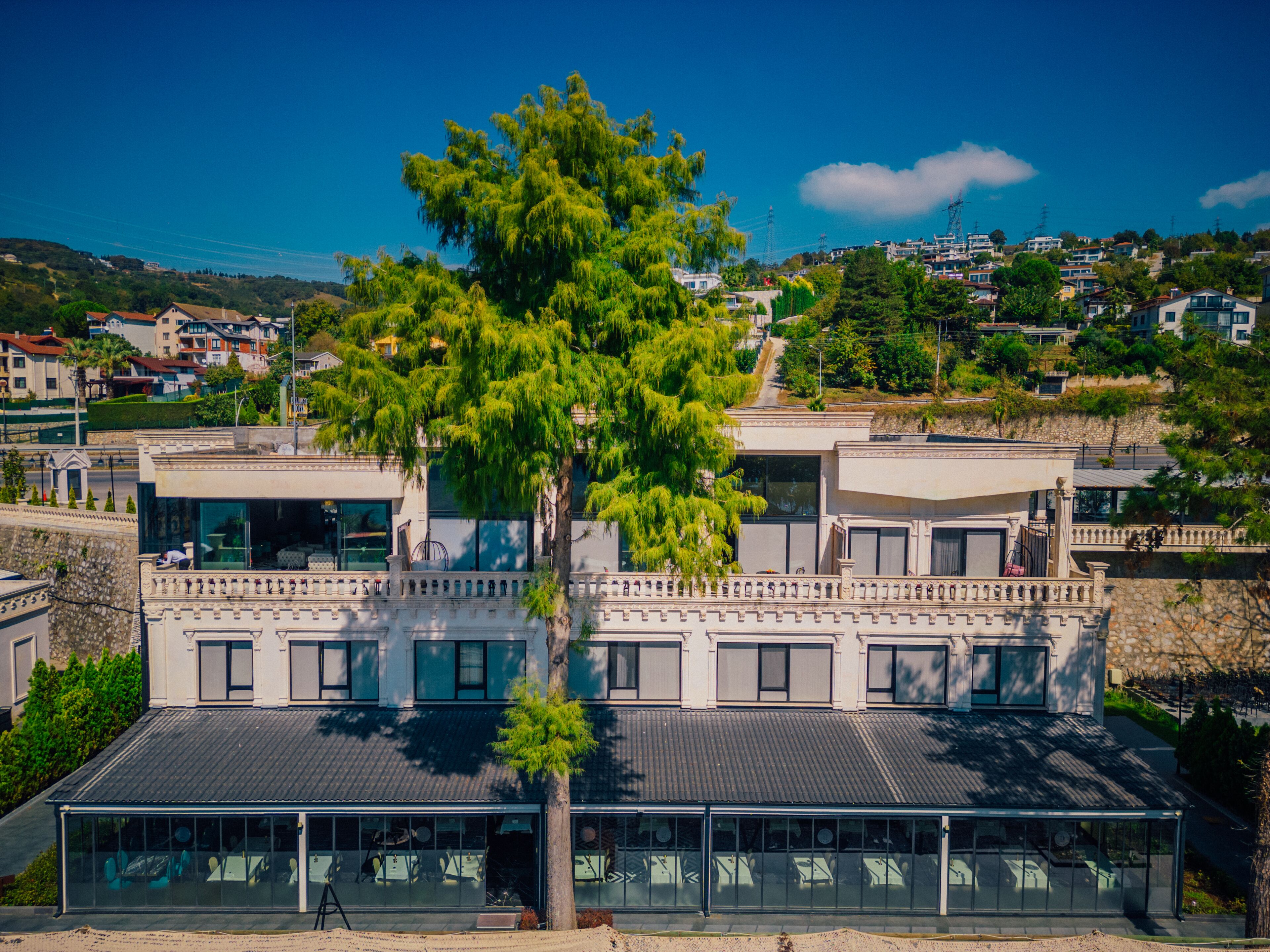 A modern building with a large tree in front, multiple windows, and a view of a hillside with houses.