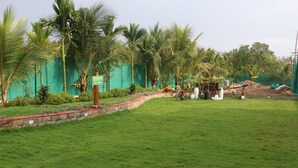 A well-maintained lawn with a stone border, palm trees, and a signpost. - Sealand Kihim (Alibag)