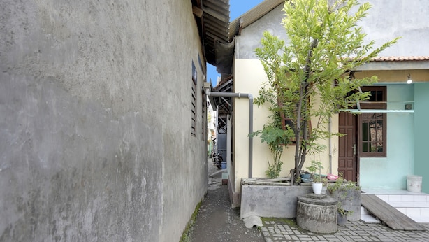 Une ruelle étroite, avec un mur en béton d’un côté et un bâtiment à toit de tuiles de l’autre. On aperçoit, au premier plan, des plantes en pot et une petite structure en bois.