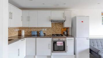 Basic Apartment, 1 King Bed with Sofa bed | Private kitchen | Fridge, oven, stovetop, dishwasher