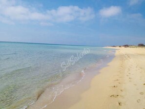 Playa