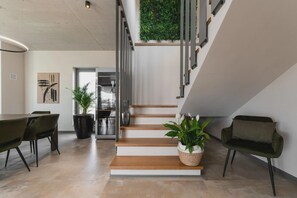 Villa | 3 bedrooms - Lipa Tree in Novigrad (Novigrad)