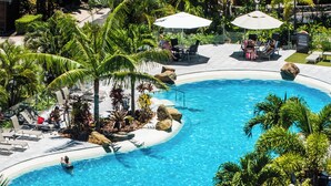 A swimming pool with lounge chairs and umbrellas, surrounded by palm trees and rocks. - Whitsunday Apartment West 1302 (Hamilton Island)