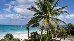 A beach with palm trees, a wooden deck, and a sandy shore. - Newly Remodeled Beachfront House on Pink-Sand Double Bay Beach (Double Bay)