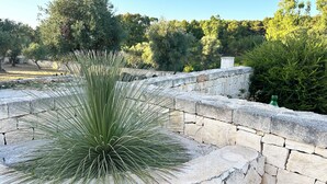 Eine Steinmauer mit einer Yucca-Pflanze im Vordergrund.