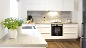 Fridge, oven, stovetop, dishwasher