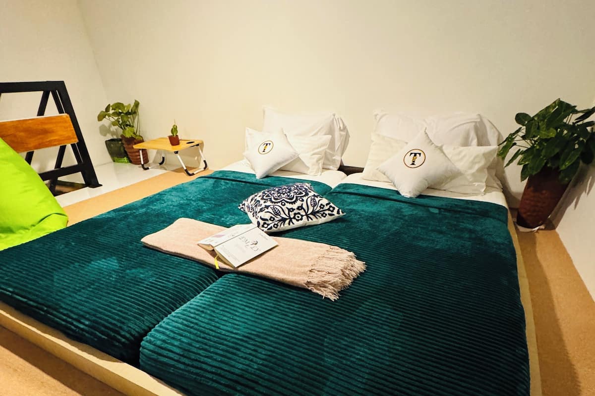 A bed with a teal bedspread, white pillows, and a patterned pillow. There is a small table with a plant and a lamp.