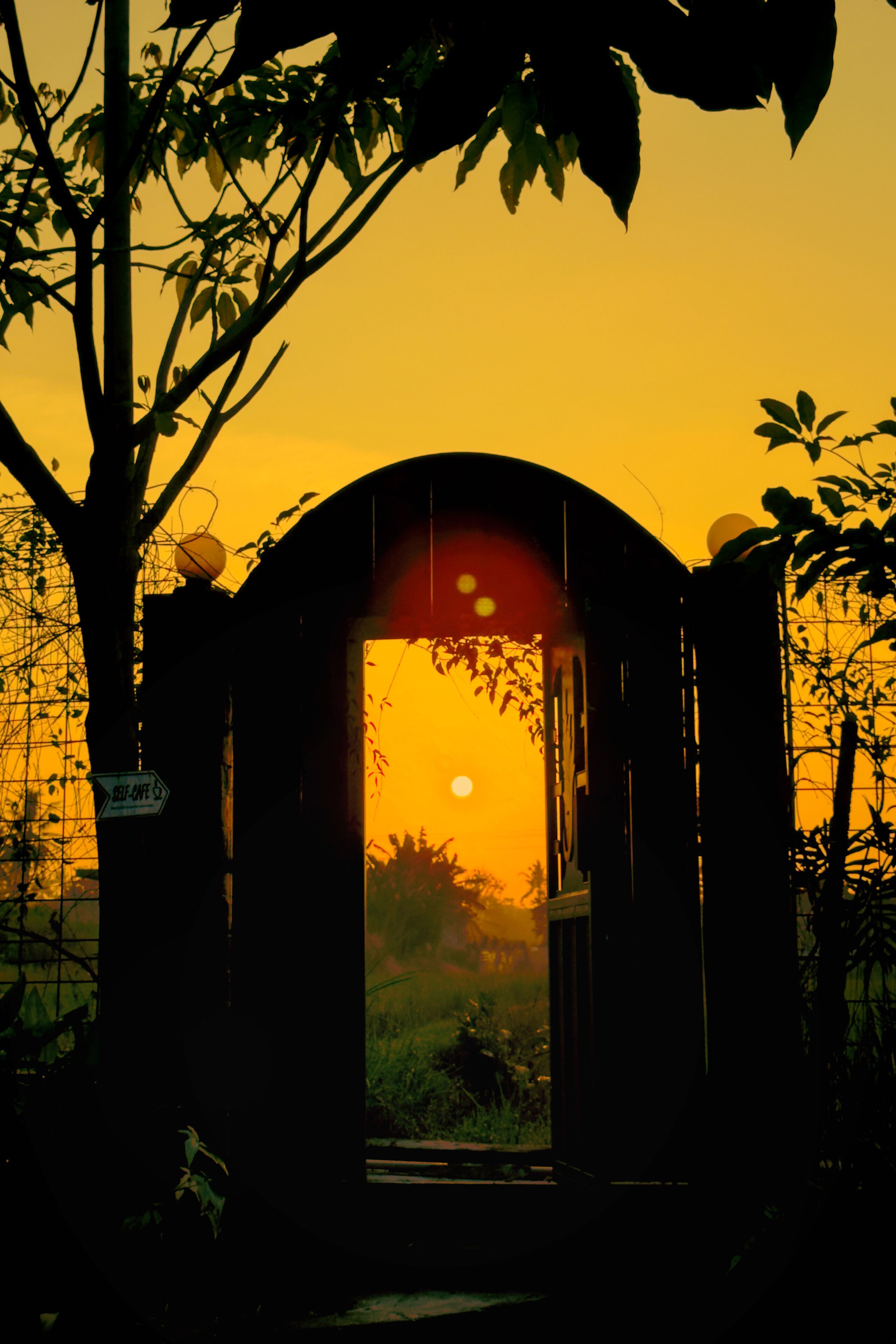 A doorway framed by a tree, leading to a sunset view.