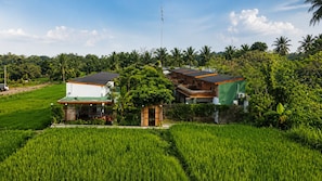 A residential area with two houses surrounded by lush greenery and palm trees. - TZY-NO Cottage Yogyakarta (Pakem)