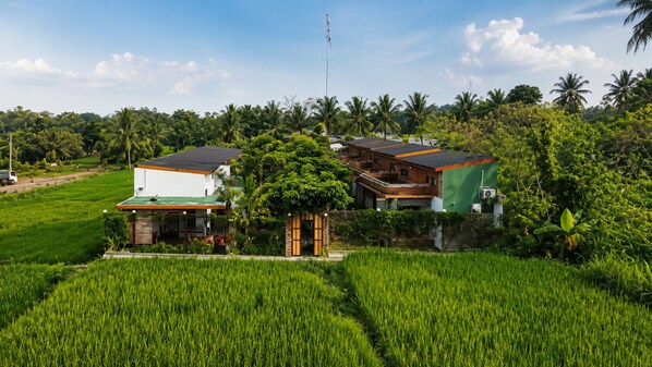 A residential area with two houses surrounded by lush greenery and palm trees.