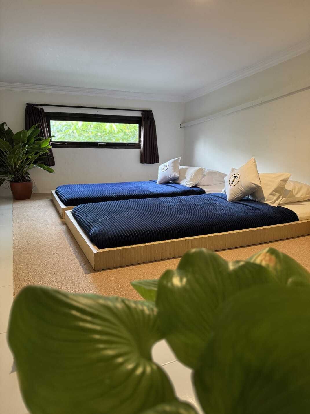 A small, modern bedroom with two single beds, a window with curtains, and a potted plant.