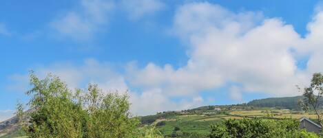 A rural landscape with rolling hills, scattered trees, and a clear blue sky.