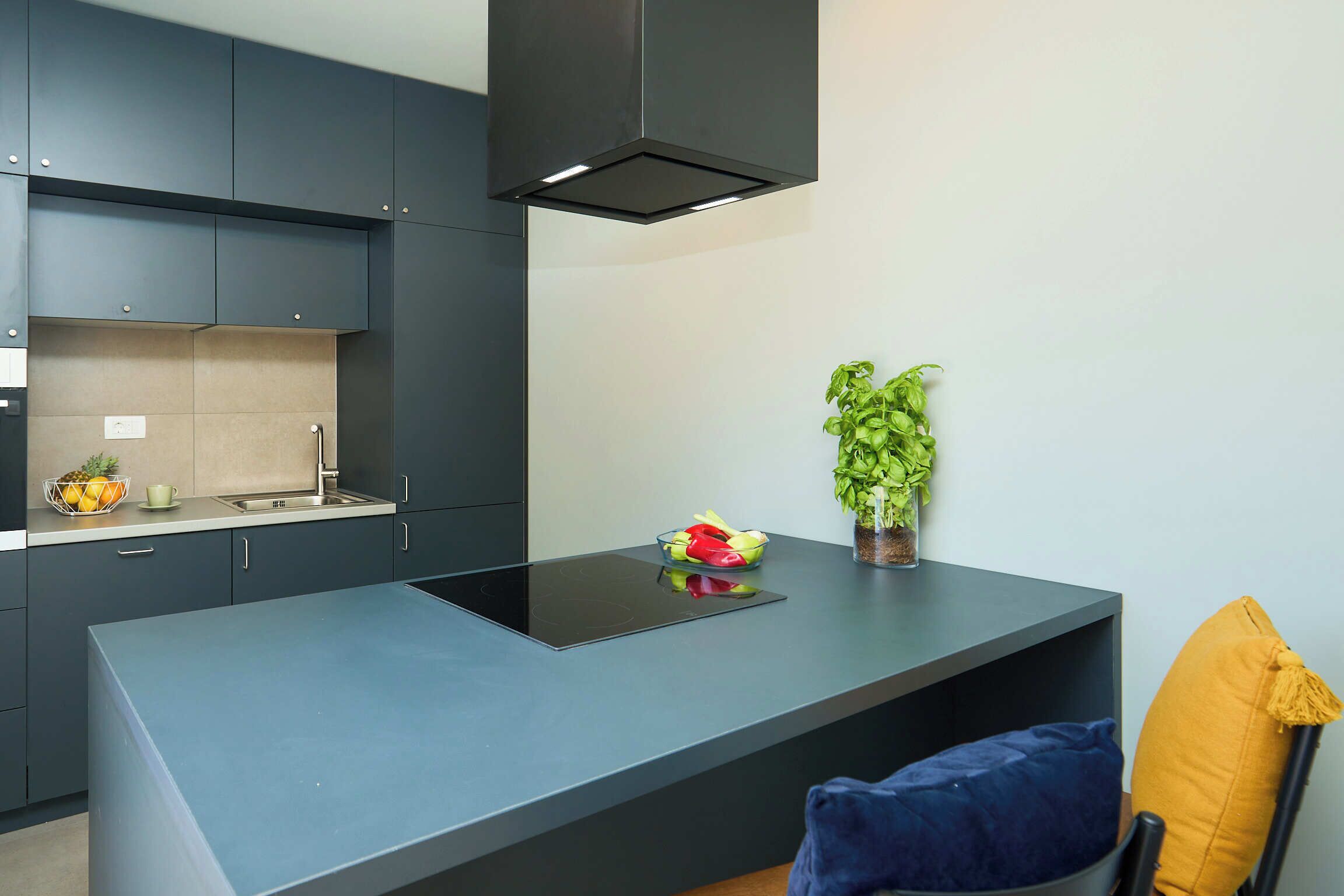 Apartamento (1 Bedroom) | Cocina privada | Frigorífico, horno, cafetera o tetera y hervidor eléctrico