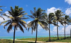 Bãi biển