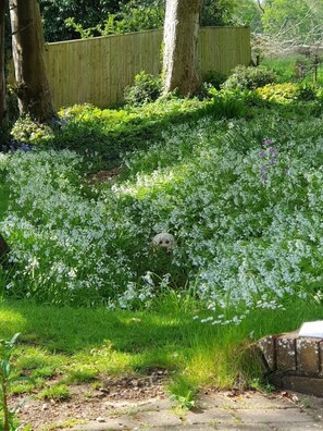 Overnattingsstedets uteområder