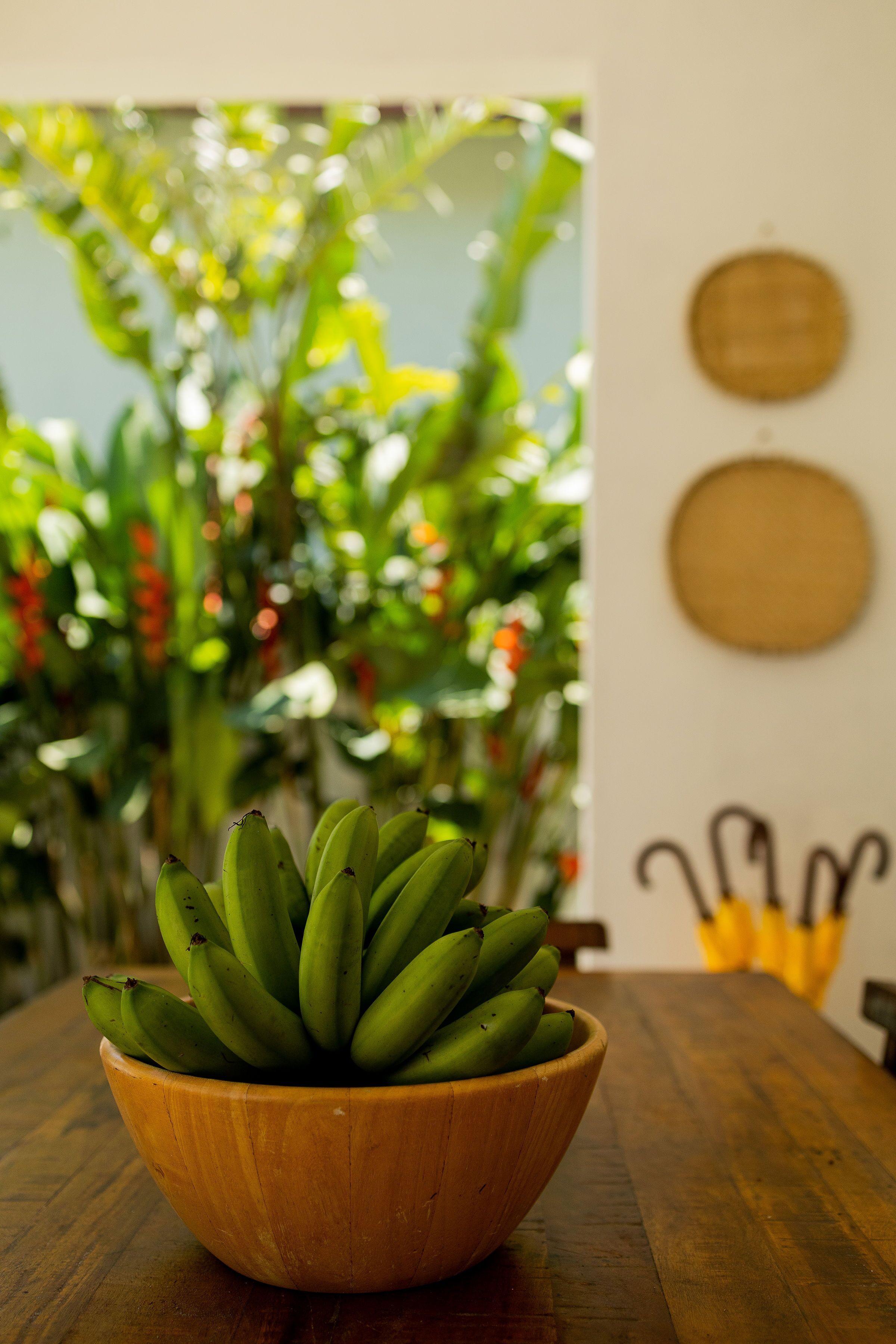 A wooden bowl of green bananas on a wooden table with a plant in the background.